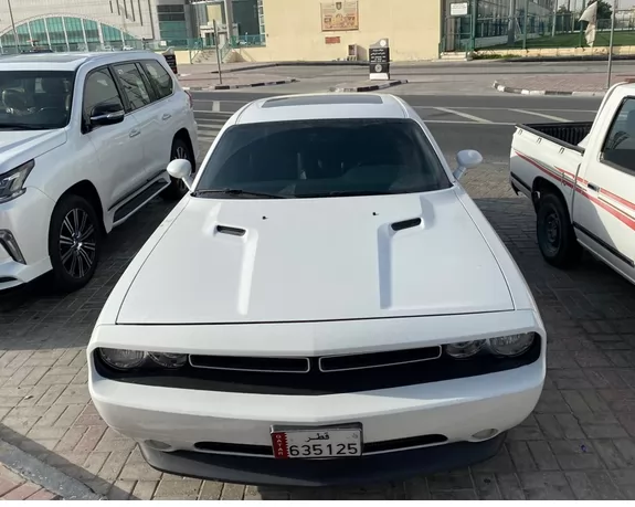 Used Dodge Challenger For Sale in Doha-Qatar #5383 - 1  image 